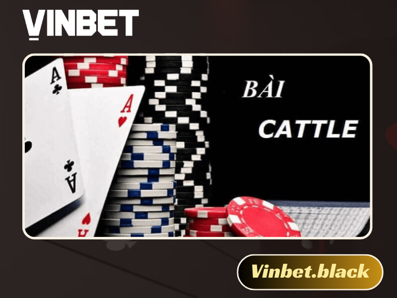 Catte Vinbet