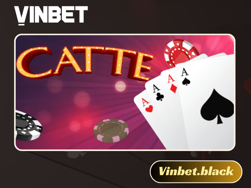 Catte Vinbet