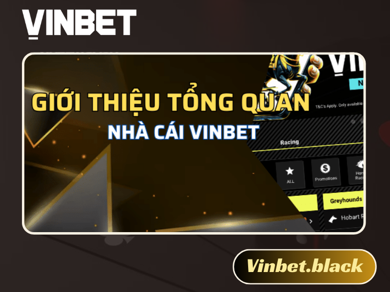 hướng dẫn chơi Vinbet